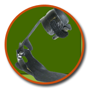 Carbon Express