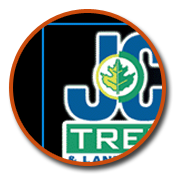 jc tree sarasota