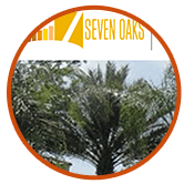 Seven Oaks Real Estate CMS web design