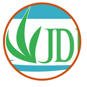 JDI corporate web design