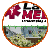 Lawn Medic Landscape & Irrigation corporate web design