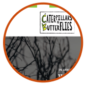 Caterpillars to Butterflies CMS web design