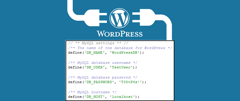 wordpress installation database